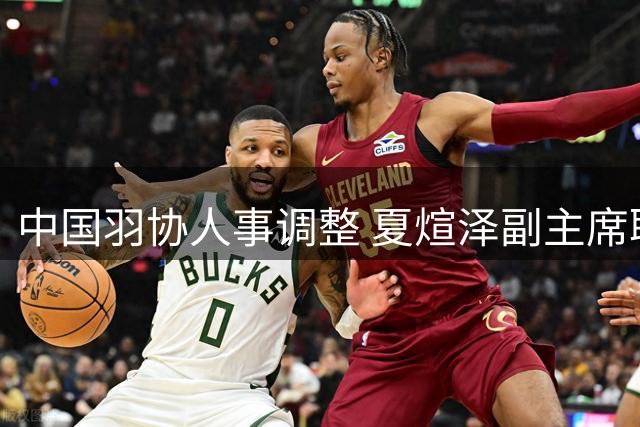 中国羽协人事调整 夏煊泽副主席职务被免